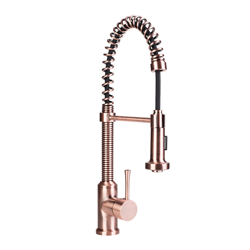 Fontainebyitalia Spring Coil Cone Spray Head Pull Down